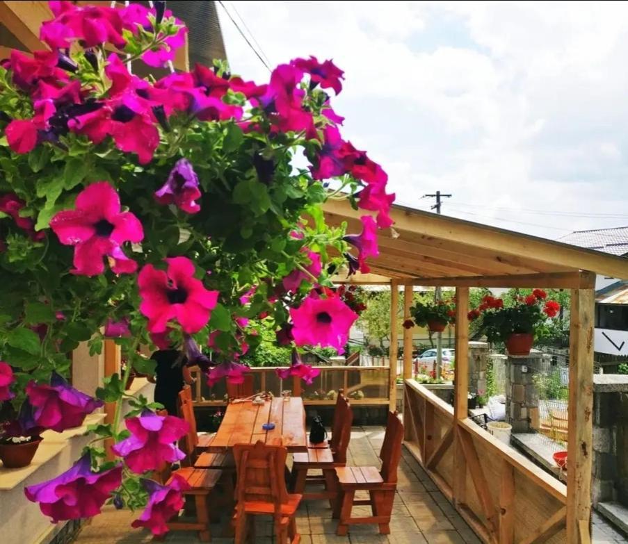 Vila Bianca Buşteni Exteriér fotografie