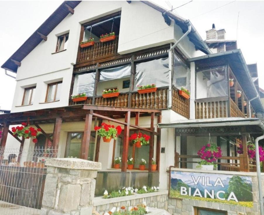 Vila Bianca Buşteni Exteriér fotografie